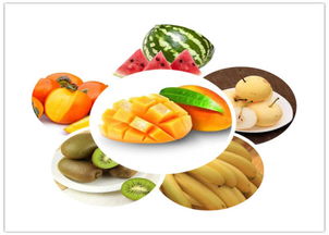 中醫(yī)養(yǎng)生保健 守護(hù)健康，傳承智慧